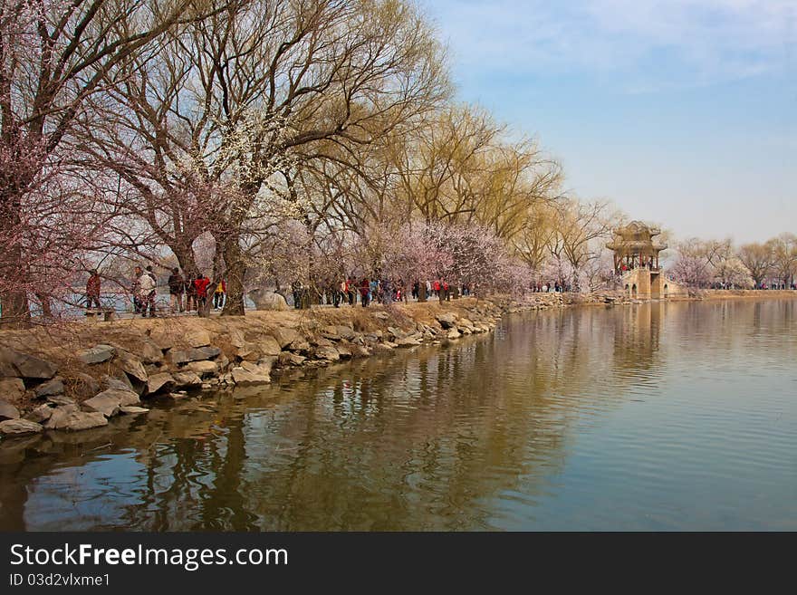 Summer palace in spring, beijing, china