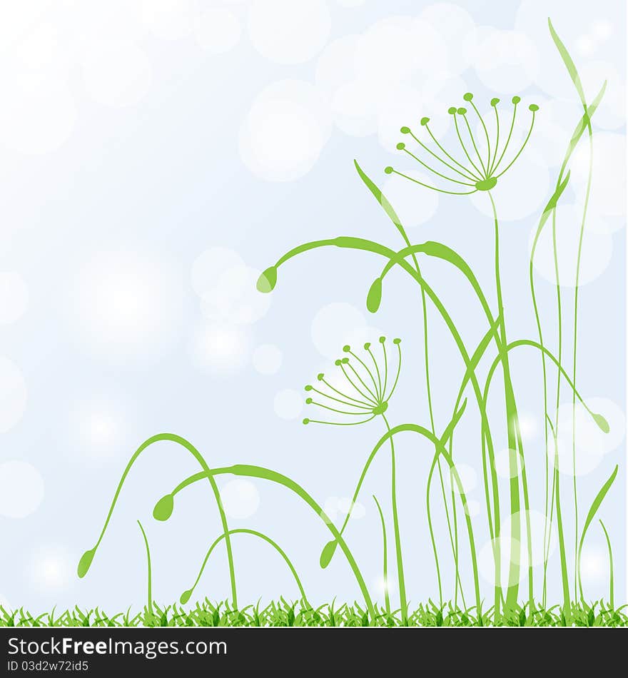 Spring Grass, Fresh  Background