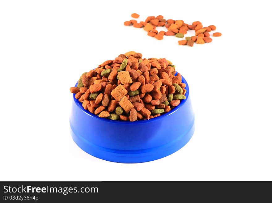 Cat Food