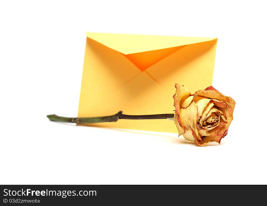 Rose lying near open yellow envelope on white background. Rose lying near open yellow envelope on white background