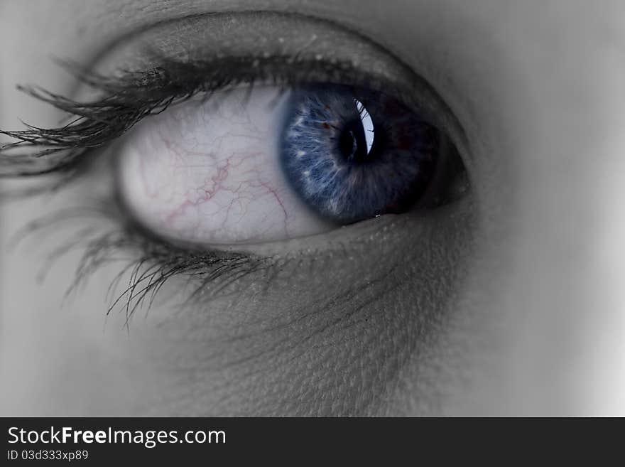 Close-up Of Woman Eye