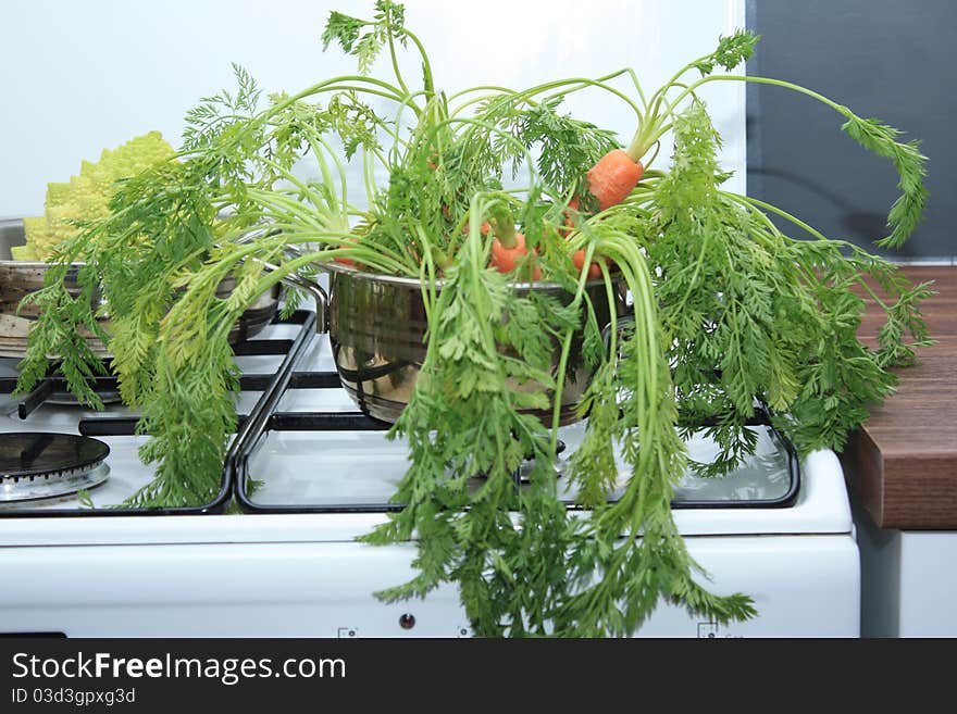 Carrots in a saucepan on the stove to gas