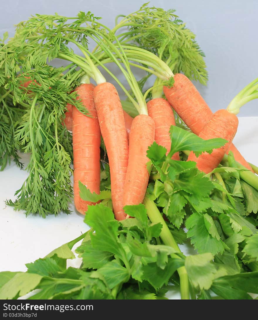 Fresh celery and carrot tops for soup. Fresh celery and carrot tops for soup