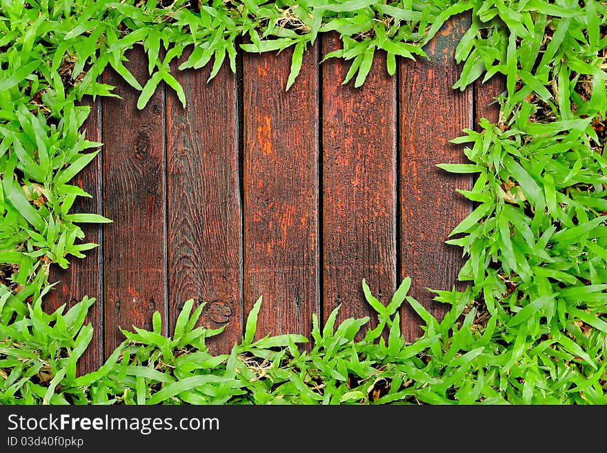 Fresh grass and multicolor wood background. Fresh grass and multicolor wood background