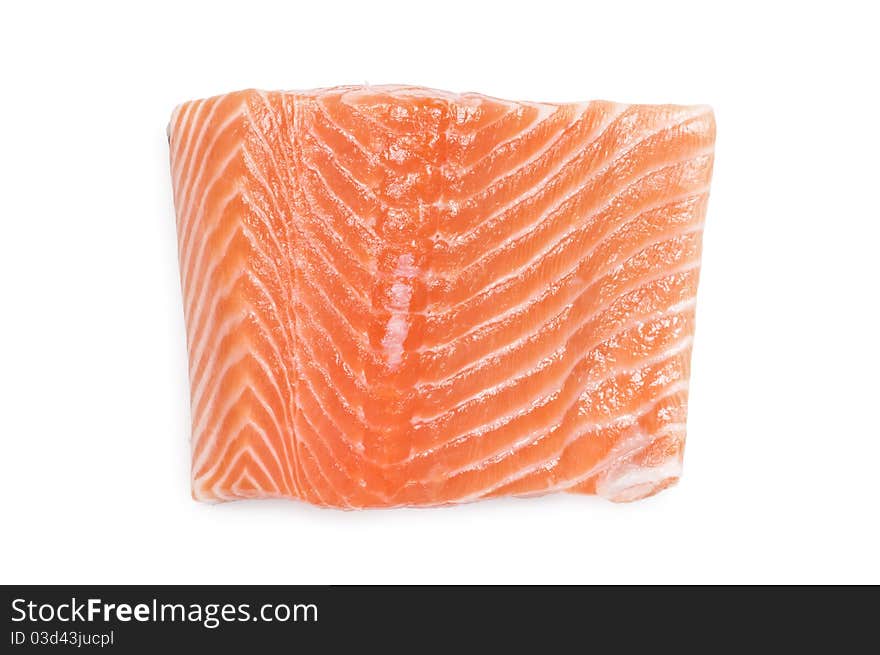 Salmon