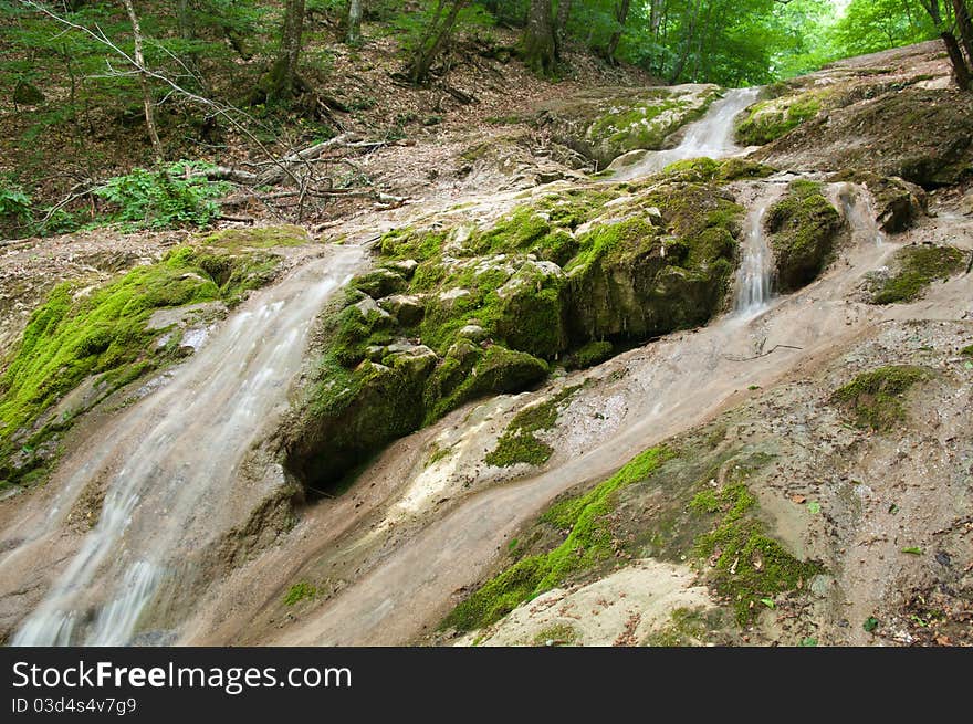 Small clear brook in a mountain forest. Small clear brook in a mountain forest