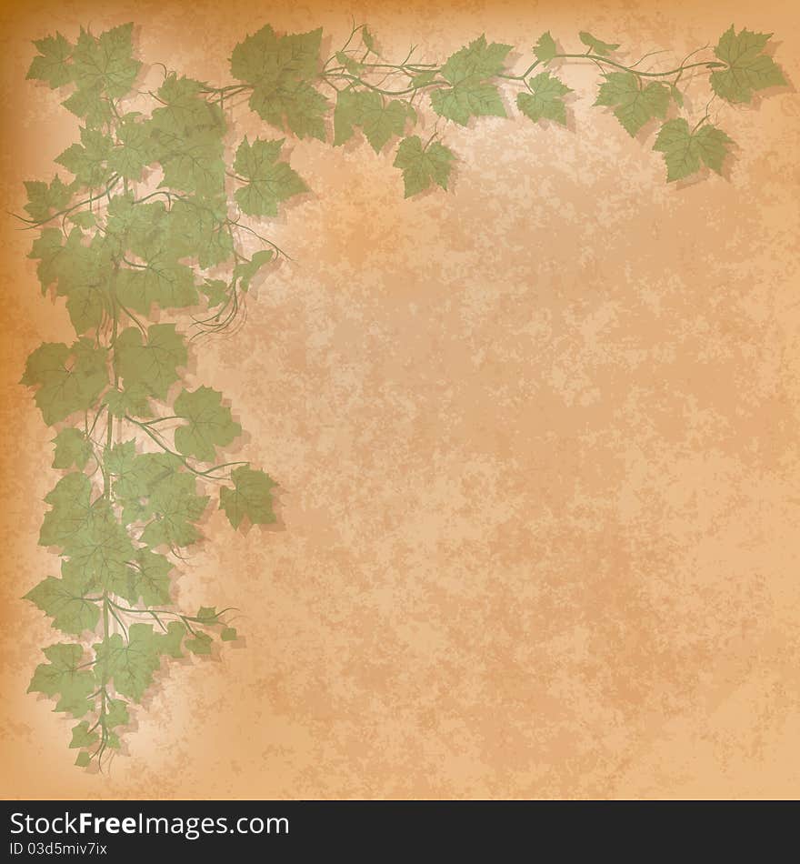 Grunge illustration with grape leaves on orange