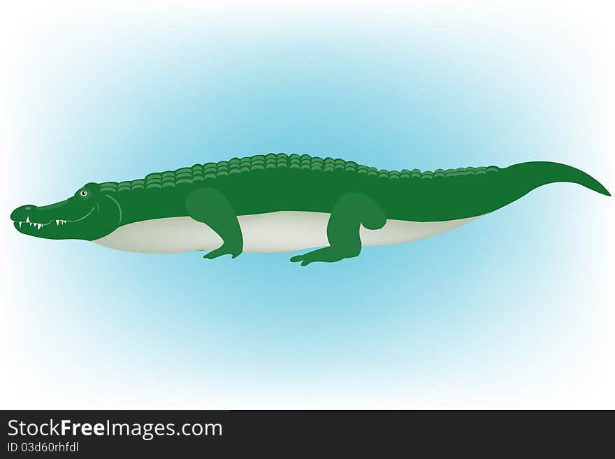 Illustration of the crocodile