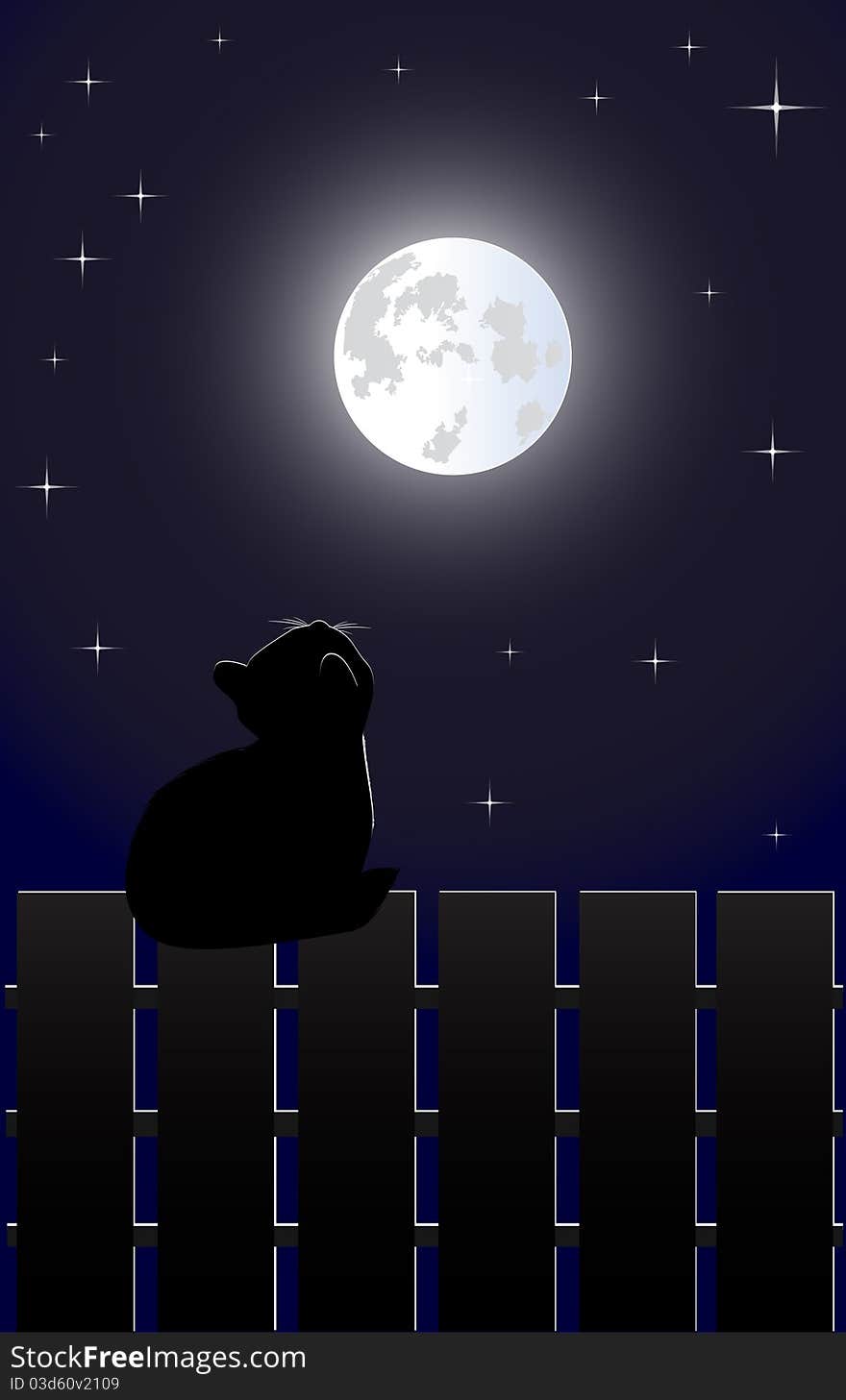 Illustration of the cat on the fence in the night