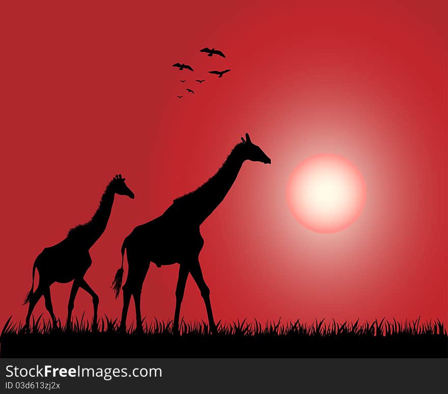 Illustration of the giraffes on the decline