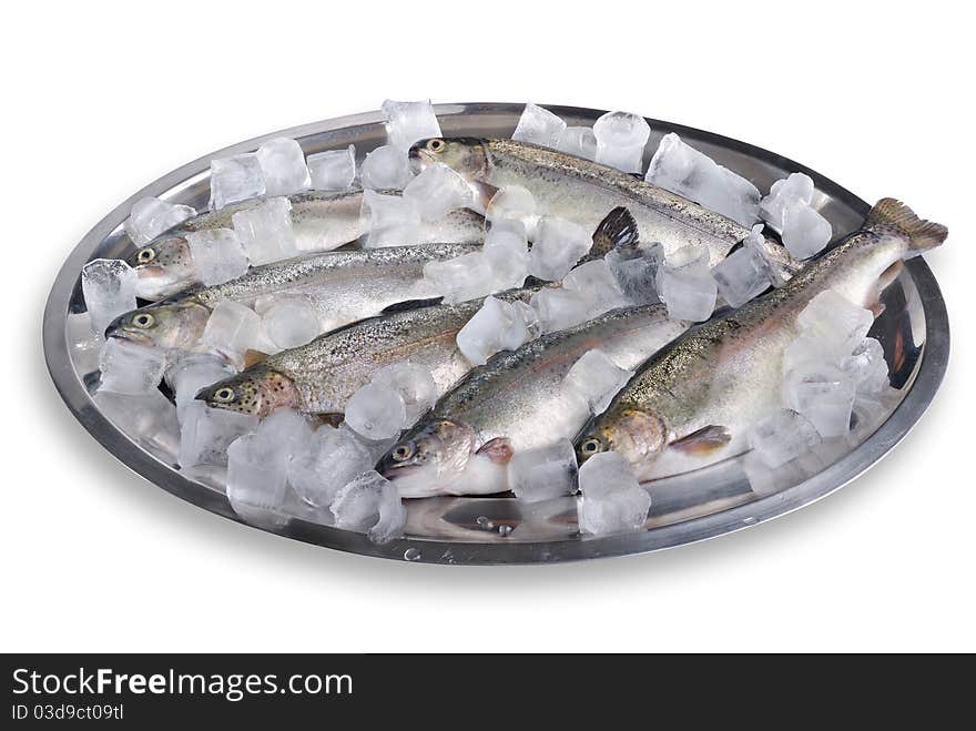 Raw trout on ice isolated of white