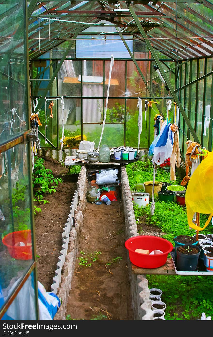 Inside of colorful greenhouse in the summer garden. Inside of colorful greenhouse in the summer garden.