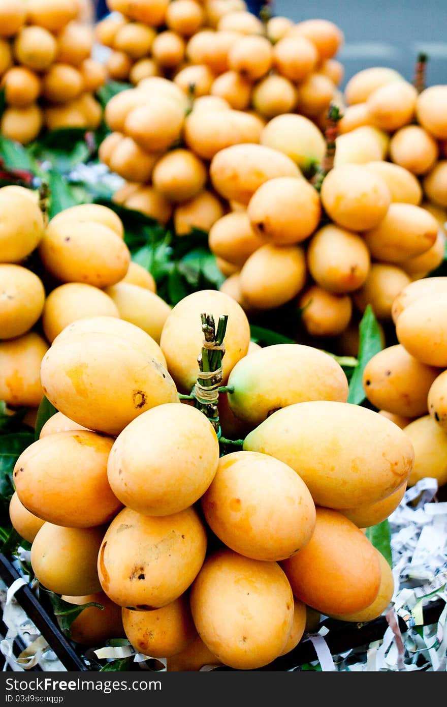 Baby Mangoes for sale Bali