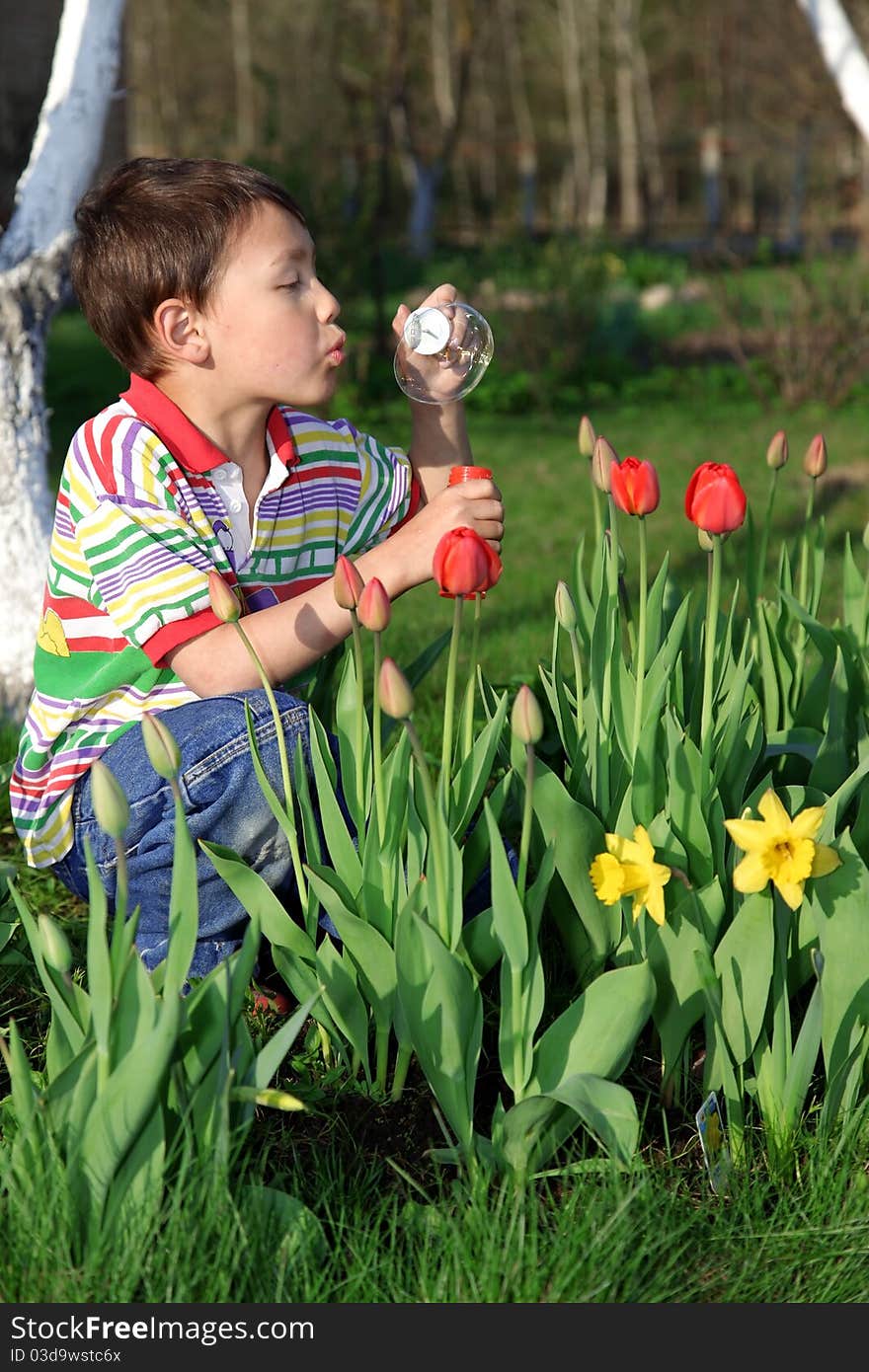 Boy with tulips, soap bubble. Boy with tulips, soap bubble