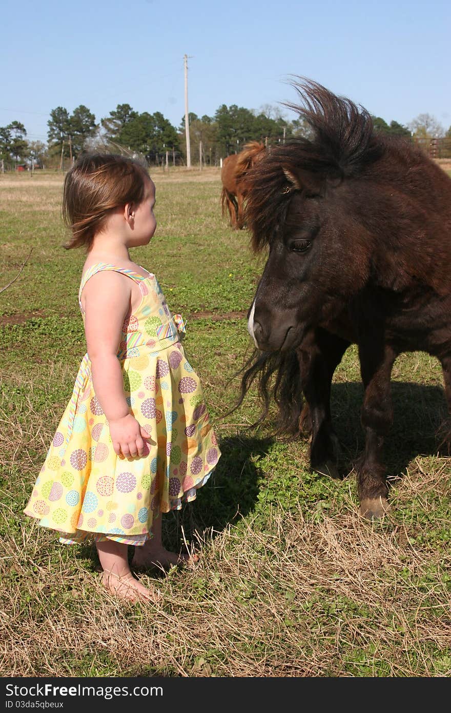 Child standing with a miniature horse. Child standing with a miniature horse