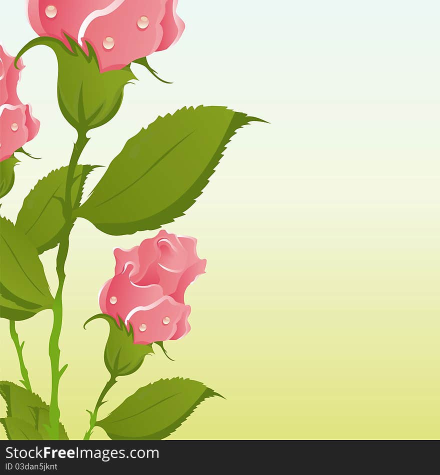 Natural background with pink roses. Natural background with pink roses