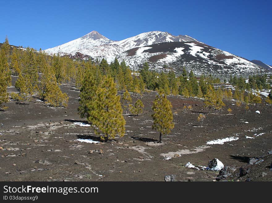 El Teide