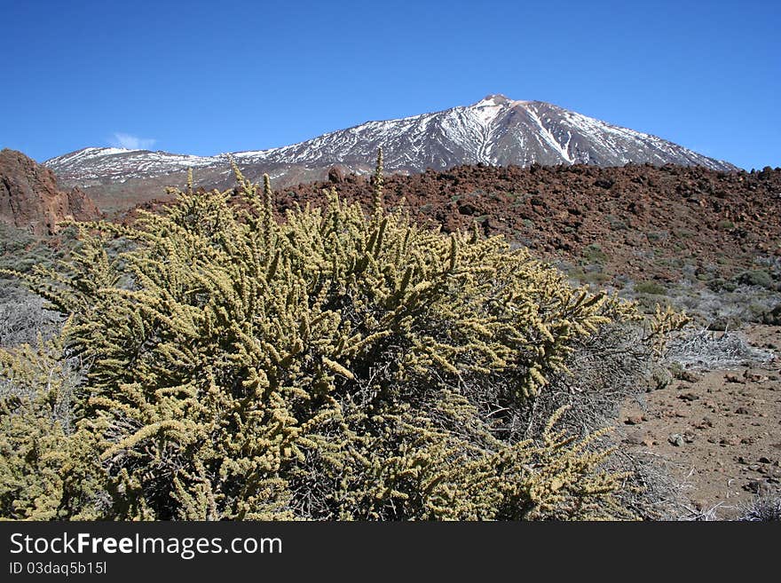 El Teide