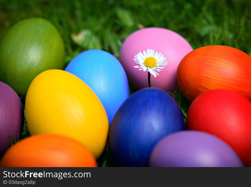 Colorful Easter eggs with daisy, hidden in the grass