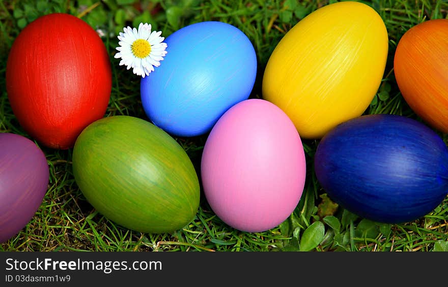 Colorful Easter eggs with daisy, hidden in the grass