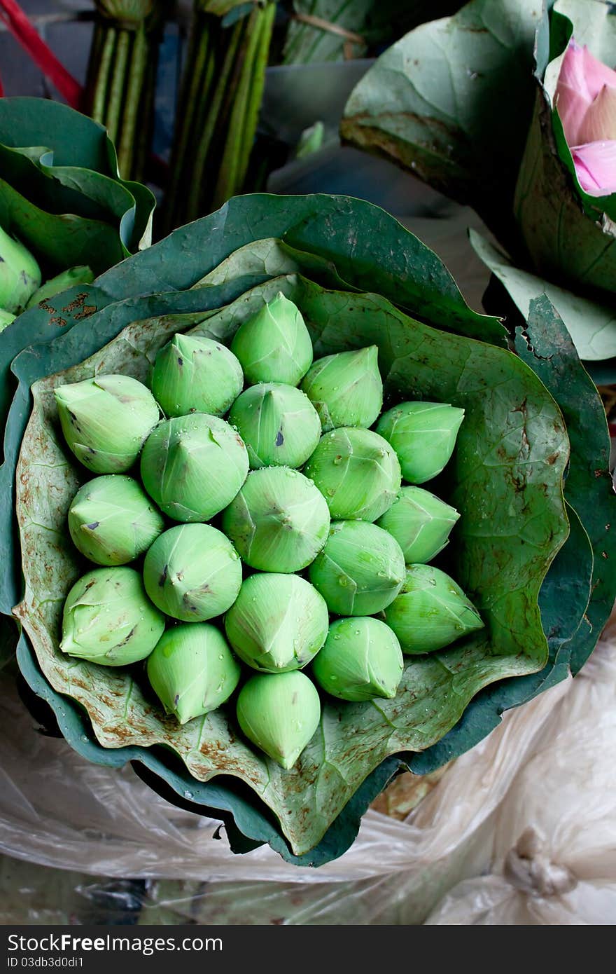 Bunch of Green Lotus Blossom Buds for Sale in Outdoor Street Market in Bangkok Thailand