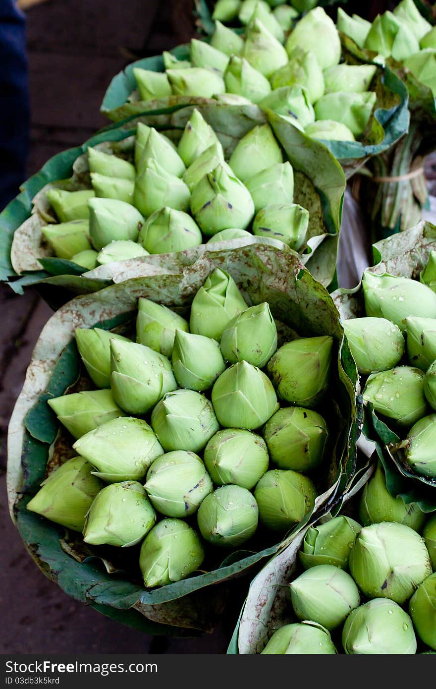 Bunches of Green Lotus Blossom Buds for sale in Outdoor Street Market in Bangkok Thailand Asia