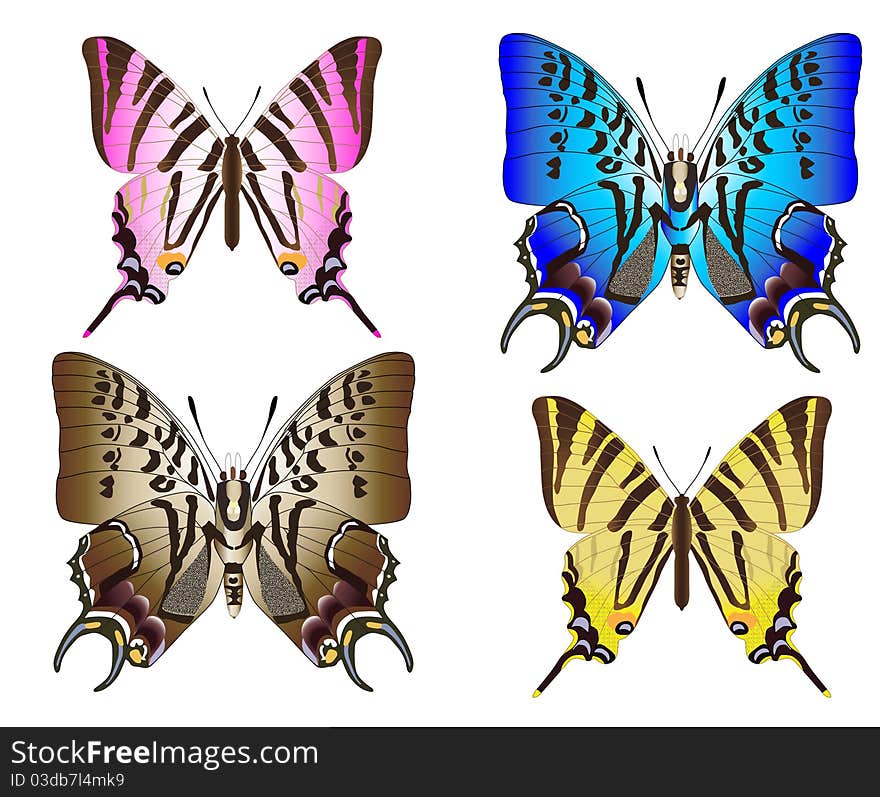 Red, blue, yellow, and brown butterflies. Vector illustration. Red, blue, yellow, and brown butterflies. Vector illustration