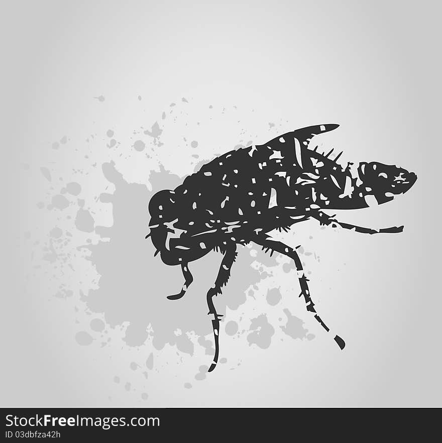 Black fly on a grey background. A illustration