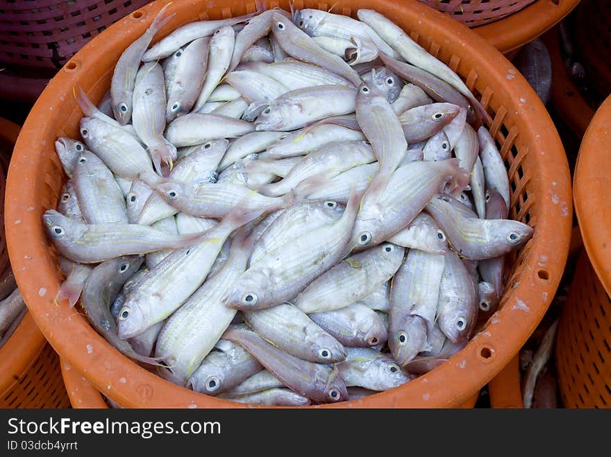 Fishes in market 3.