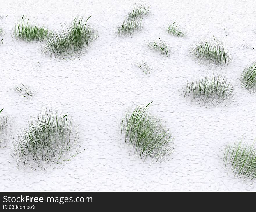 Grass in snow