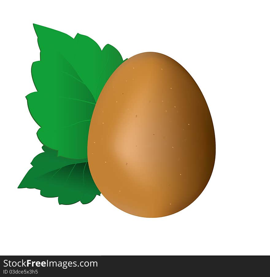 Egg and leaf illustration on white background. Egg and leaf illustration on white background