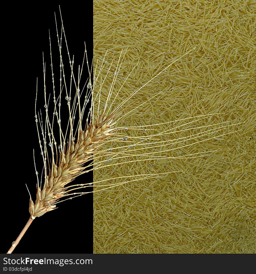 Image ear on a background of pasta. Image ear on a background of pasta