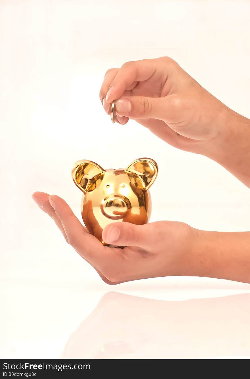 Hands Holding Piggy Bank