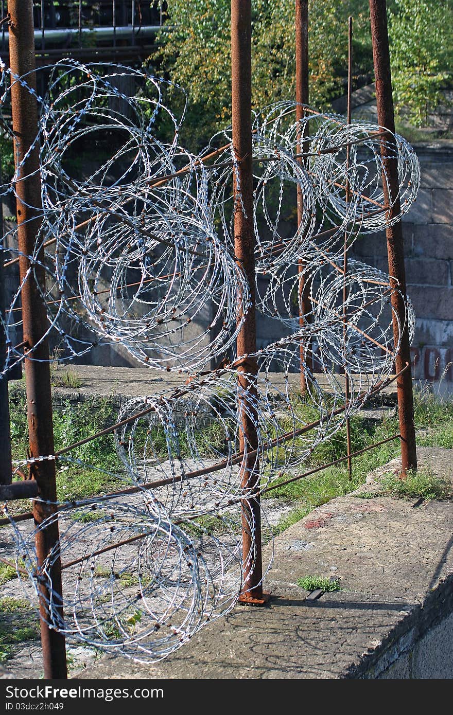 Barbed Wire