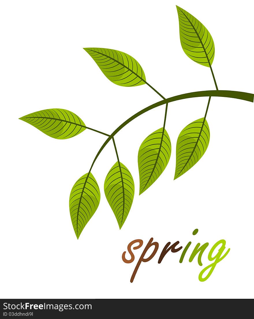 Spring - fresh green leaf. illustration