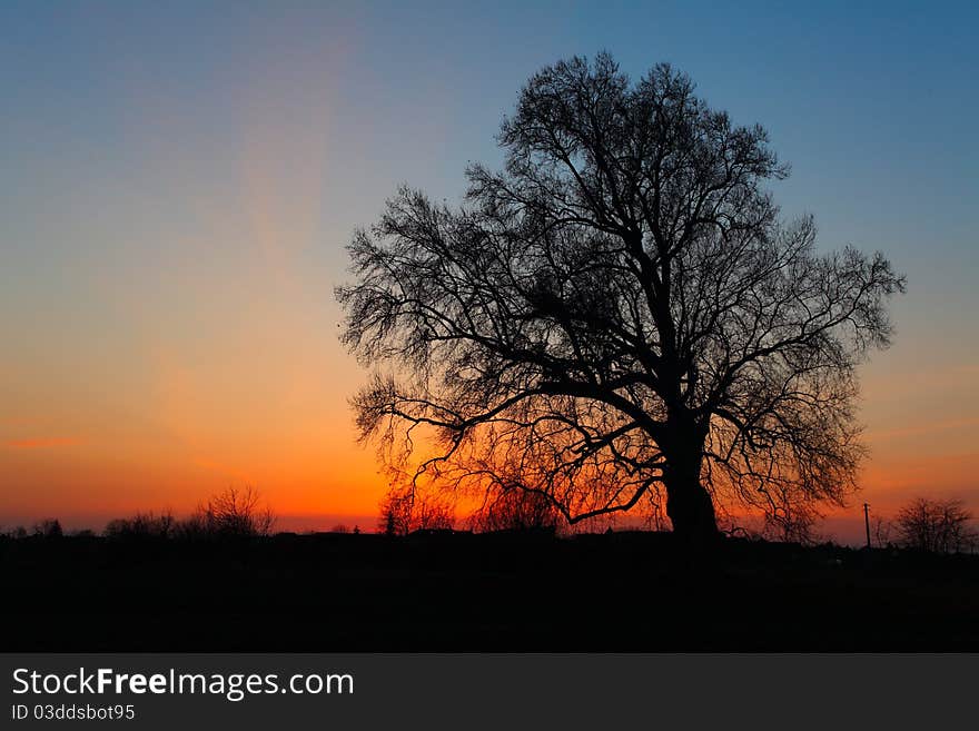 Beautiful landscape image with trees silhouette at sunset. Beautiful landscape image with trees silhouette at sunset.