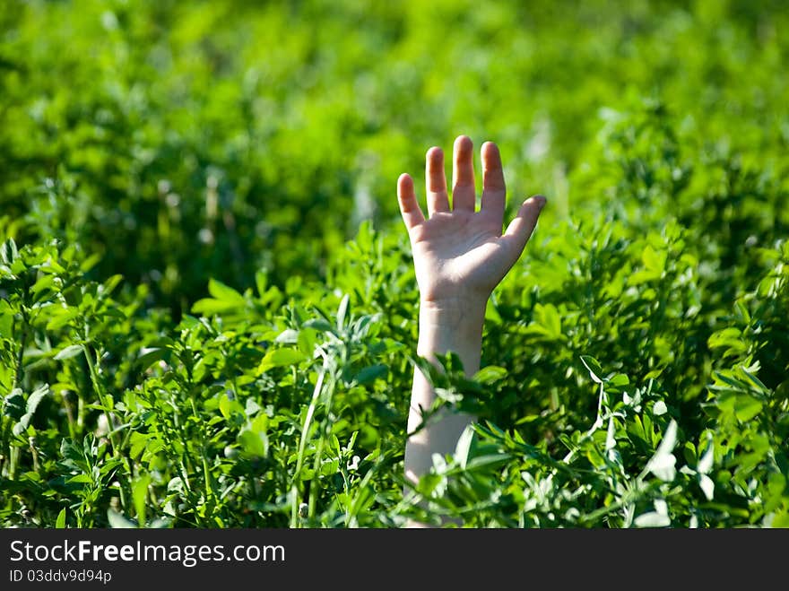 The hand stretched from a grass upwards