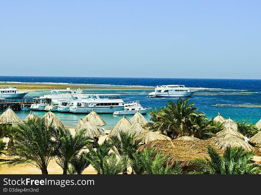 Beach On The Red Sea