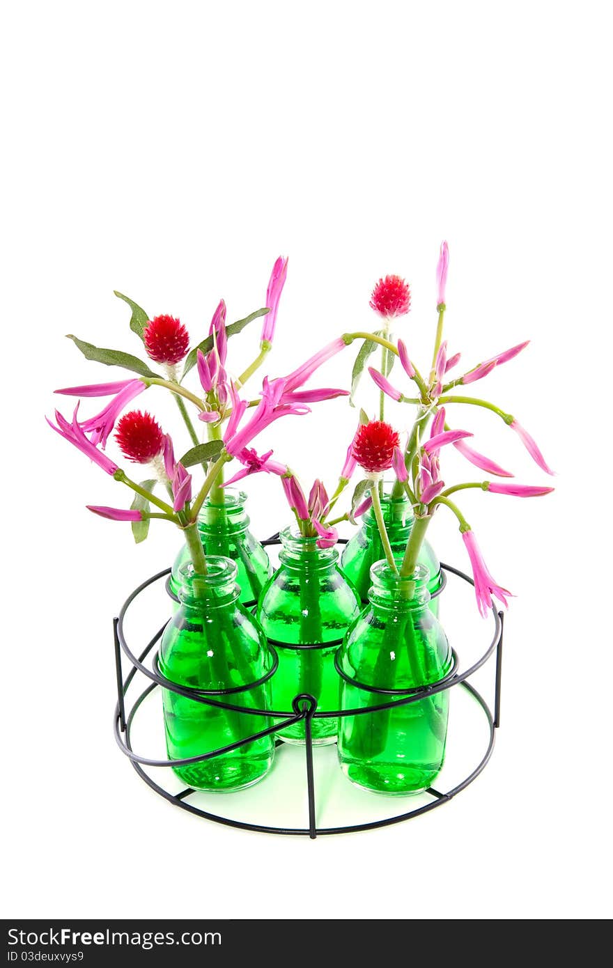 Pink and red flowers in little glass vases isolated on white background