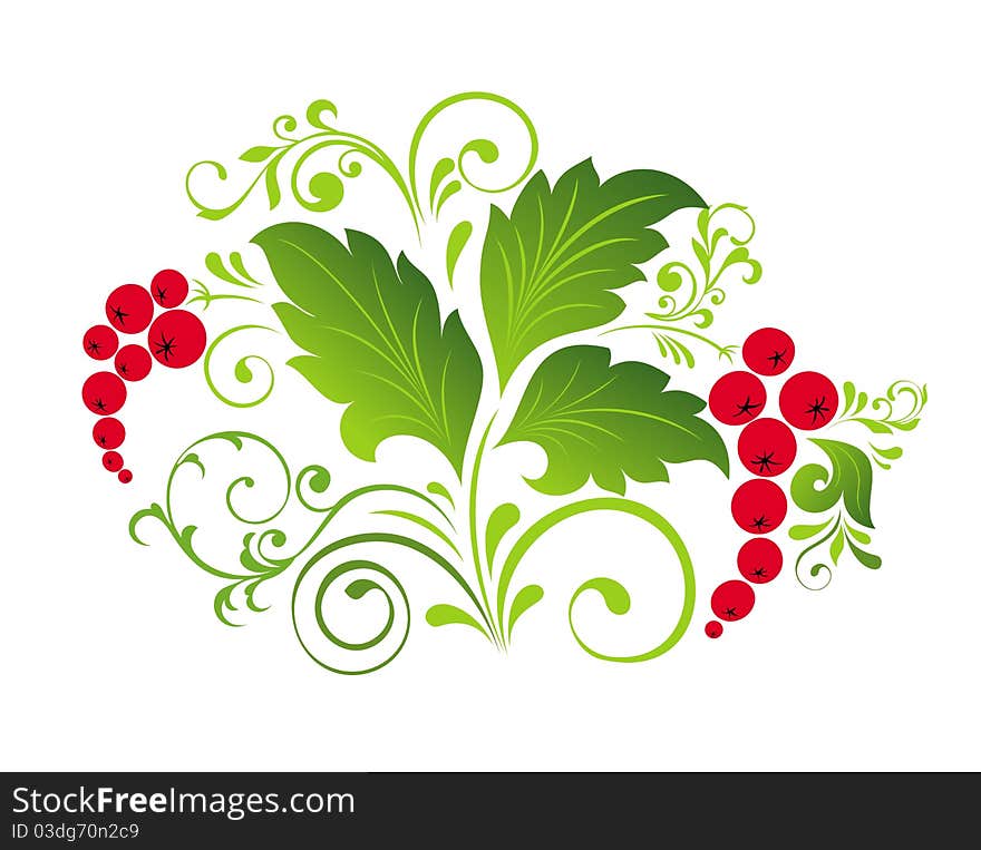 Floral Illustration With Berry