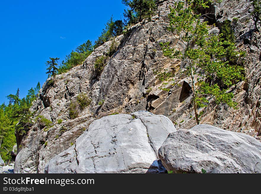 Rocks and trees of the canyon Goynuk in Taurus Mountains. Turkey. Rocks and trees of the canyon Goynuk in Taurus Mountains. Turkey