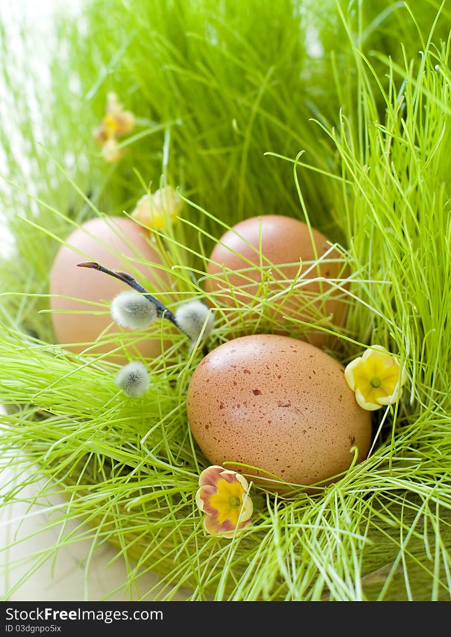 Easter Eggs in basket with green grass