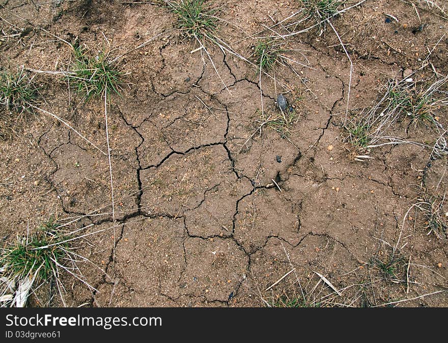 Crack in dry soil in summer