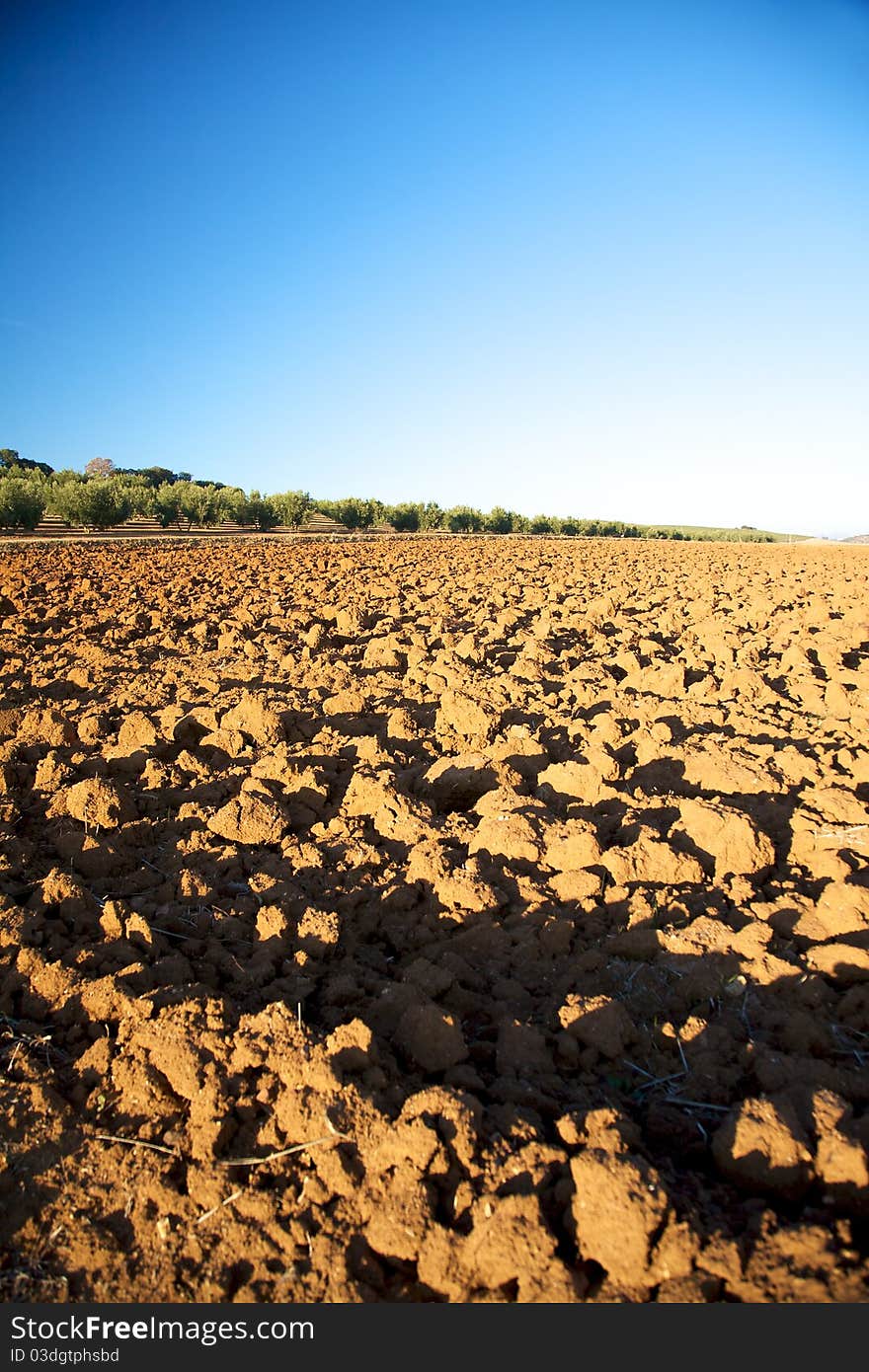 Fields at Andalucia