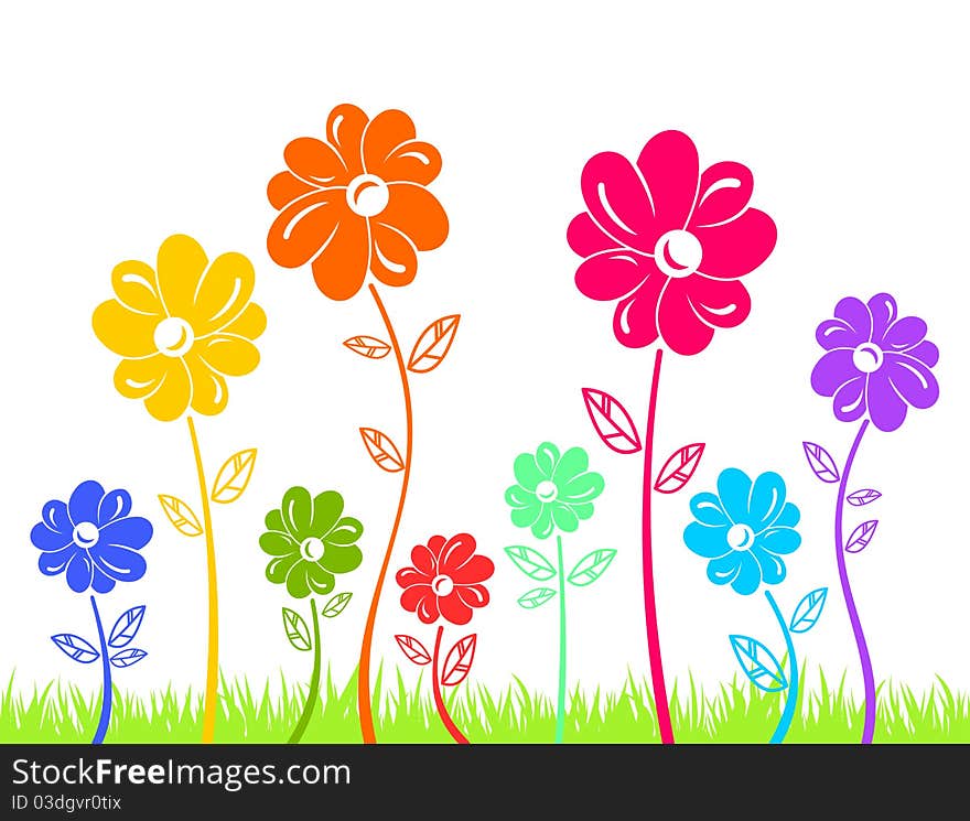 Colour flowers on green grass isolated