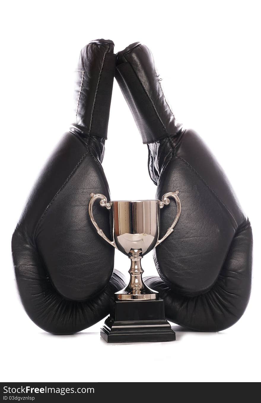 Boxing gloves and trophy