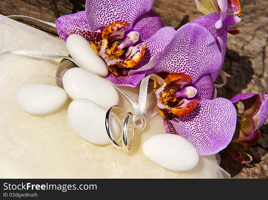 Orchid,wedding rings and candy  for weddings. Orchid,wedding rings and candy  for weddings