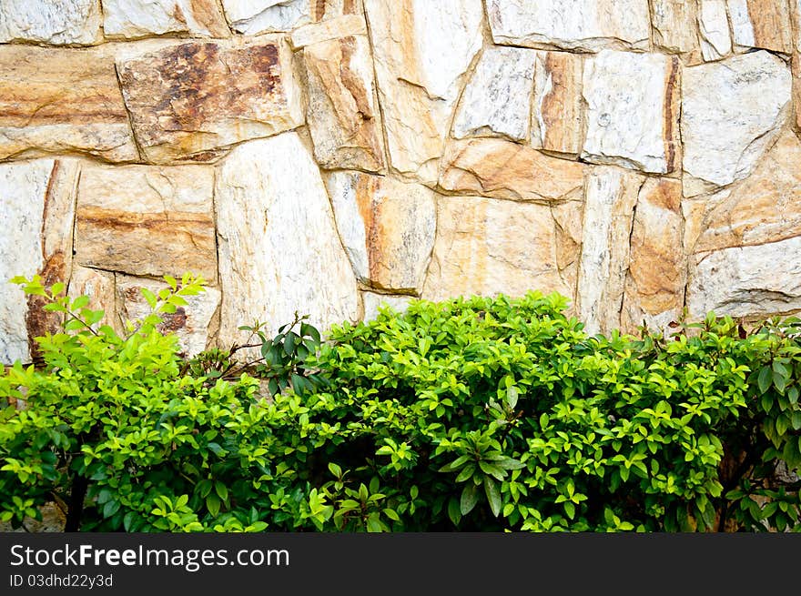 Textured stone wall and plants