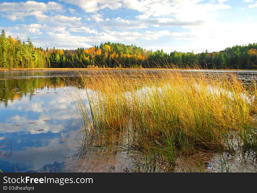 Beaver Lake in Algonquin Park, Canada