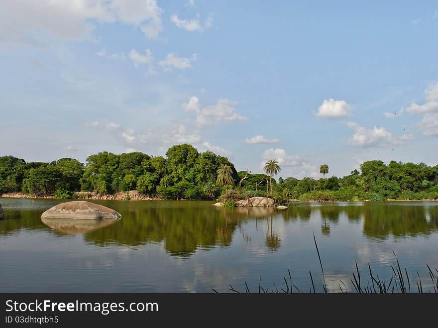 Landscape and trees mirroring in the surface water